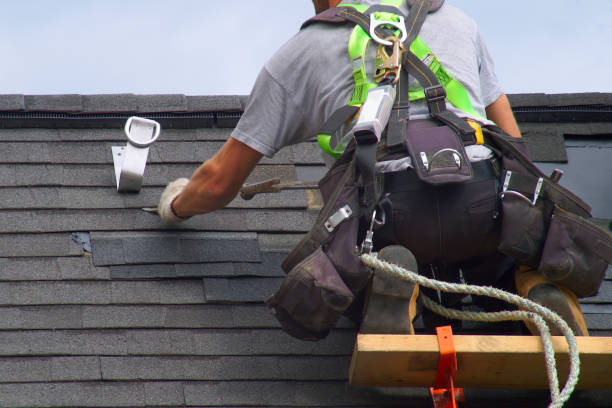 Best Roof Repair Specialists  in Trenton, GA
