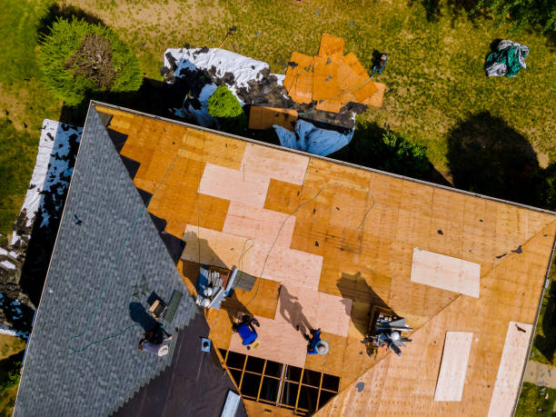 Best Roof Waterproofing Services  in Trenton, GA