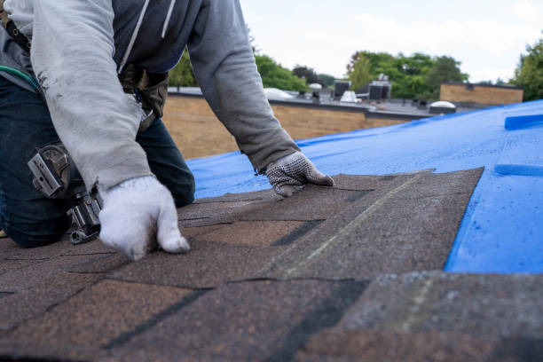 Best Residential Roofing Contractor  in Trenton, GA