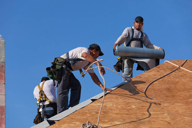 Best Roof Repair Specialists  in Trenton, GA