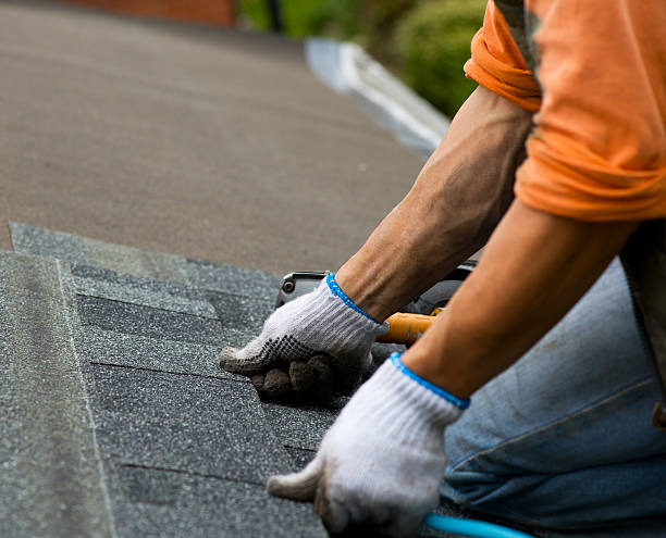 Best Roof Gutter Cleaning  in Trenton, GA