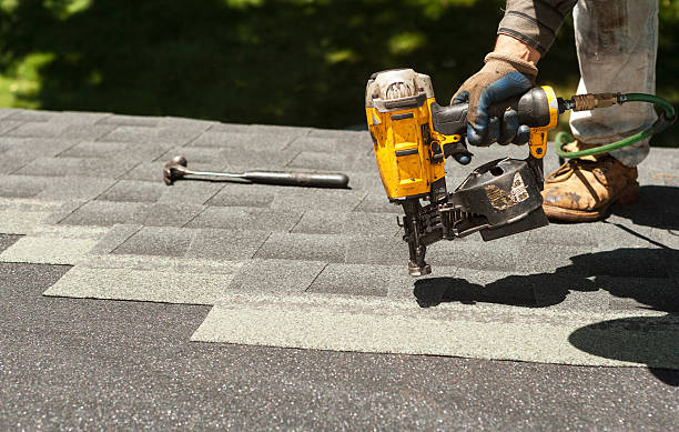Best Roof Gutter Cleaning  in Trenton, GA